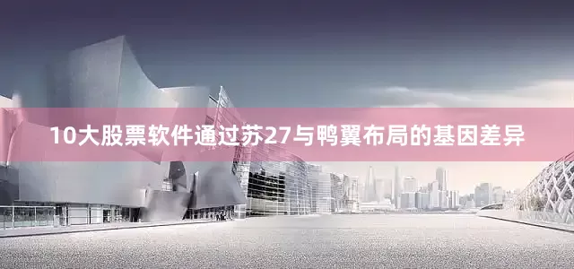 10大股票软件通过苏27与鸭翼布局的基因差异