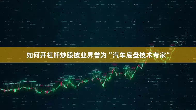 如何开杠杆炒股被业界誉为“汽车底盘技术专家”